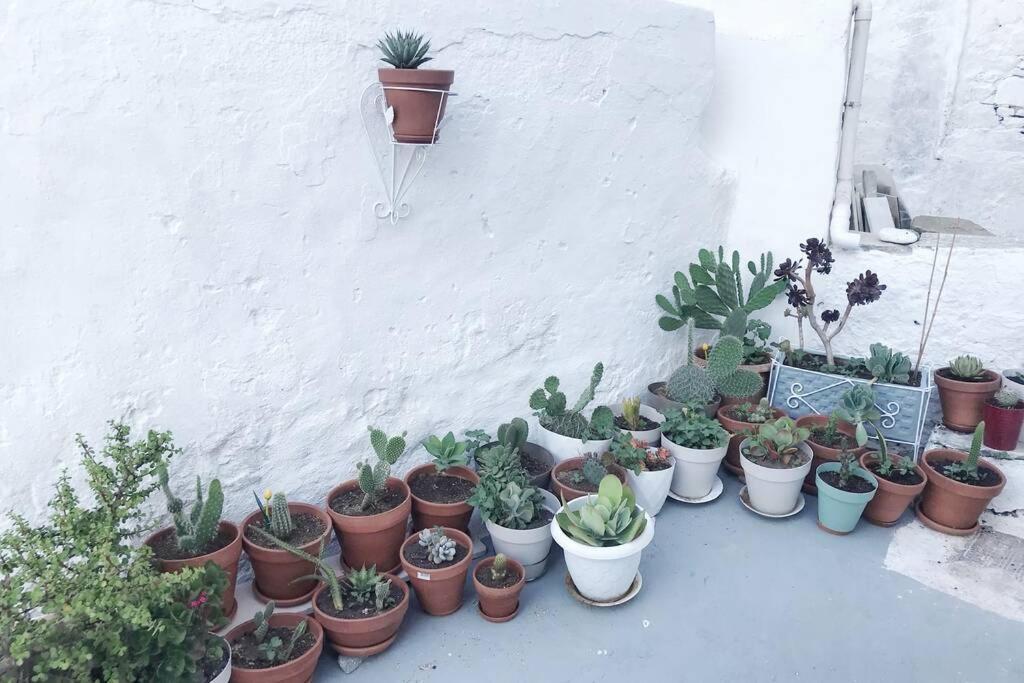 Little Cactus Vila Serifos Town Exterior foto